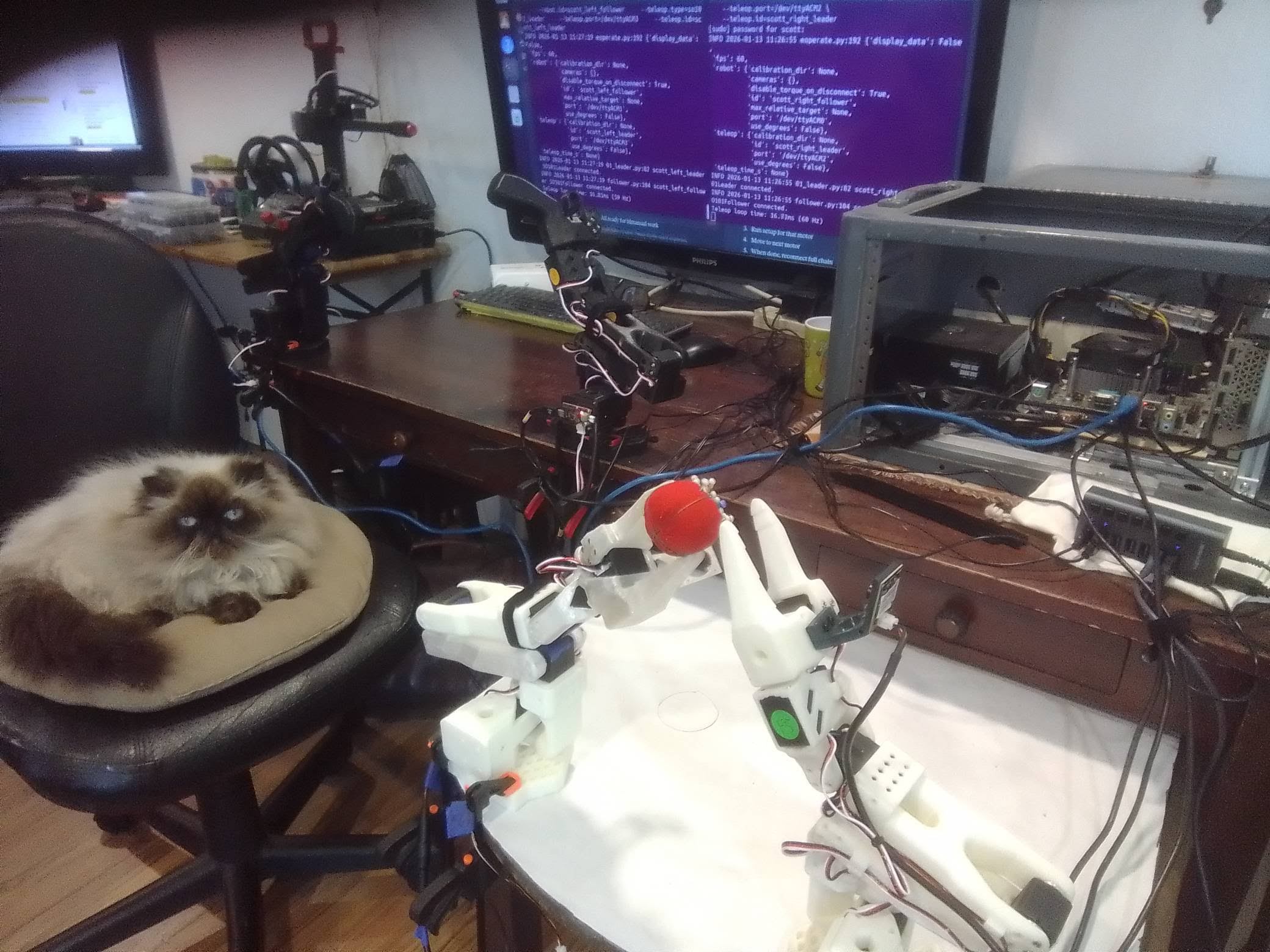 LeRobot SO101 bimanual manipulation setup by Scott Whitney